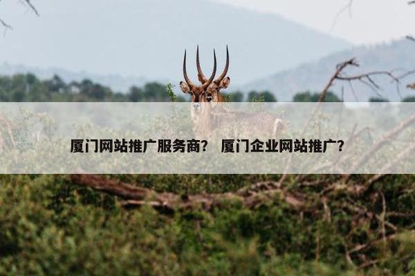 厦门网站推广服务商？ 厦门企业网站推广？