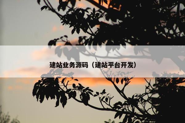 建站业务源码（建站平台开发）
