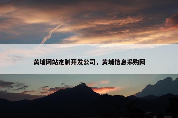 黄埔网站定制开发公司，黄埔信息采购网