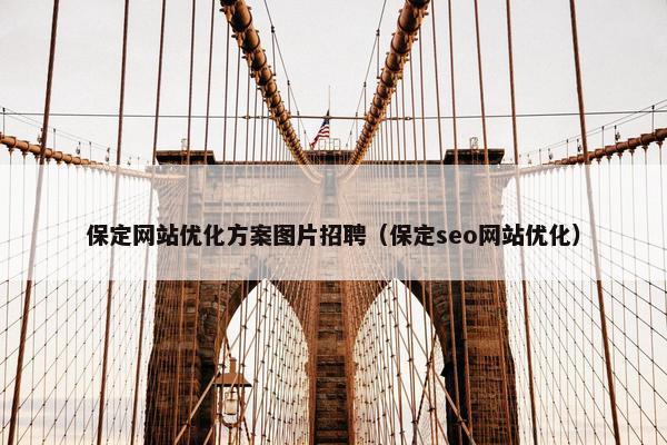 保定网站优化方案图片招聘（保定seo网站优化）