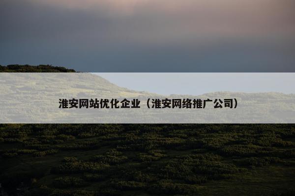 淮安网站优化企业（淮安网络推广公司）