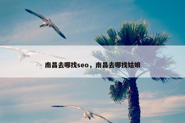 南昌去哪找seo，南昌去哪找姑娘