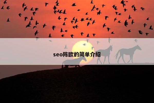seo陈欧的简单介绍