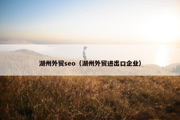 湖州外贸seo（湖州外贸进出口企业）