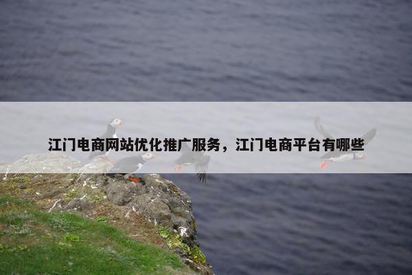江门电商网站优化推广服务，江门电商平台有哪些