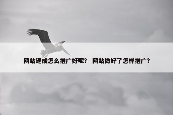 网站建成怎么推广好呢？ 网站做好了怎样推广？