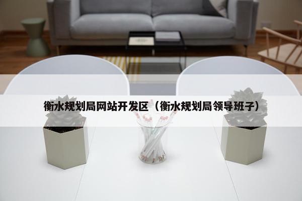 衡水规划局网站开发区（衡水规划局领导班子）