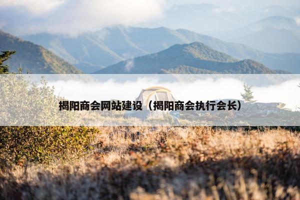 揭阳商会网站建设（揭阳商会执行会长）