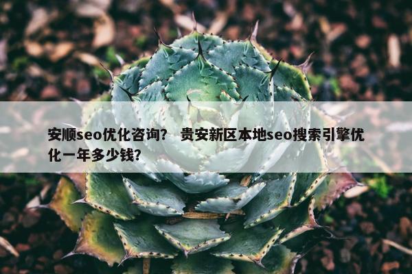 安顺seo优化咨询？ 贵安新区本地seo搜索引擎优化一年多少钱？