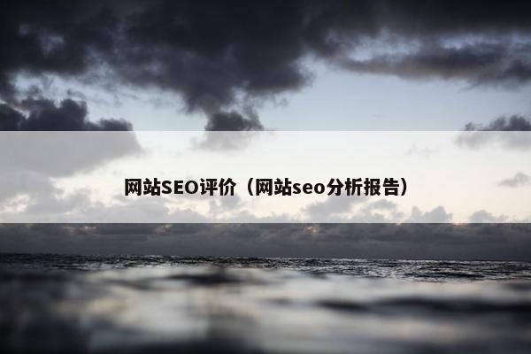 网站SEO评价（网站seo分析报告）