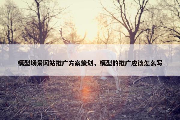 模型场景网站推广方案策划，模型的推广应该怎么写