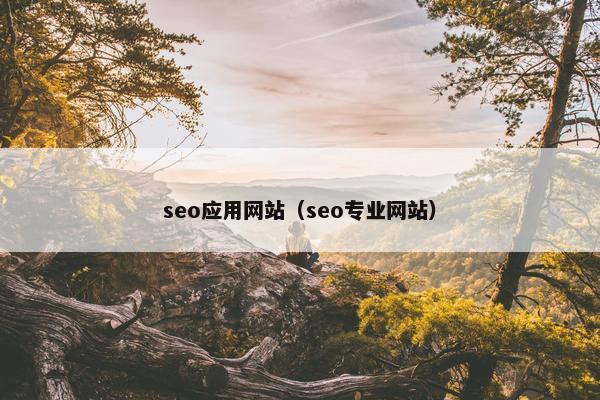 seo应用网站（seo专业网站）