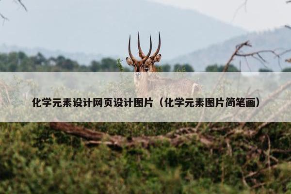 化学元素设计网页设计图片（化学元素图片简笔画）