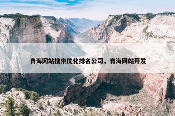 青海网站搜索优化排名公司，青海网站开发
