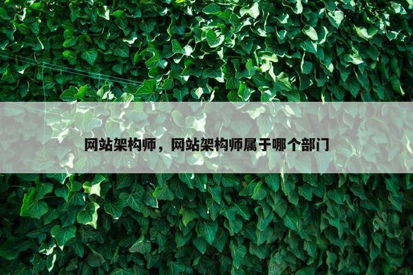 网站架构师，网站架构师属于哪个部门