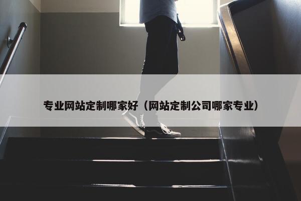 专业网站定制哪家好（网站定制公司哪家专业）