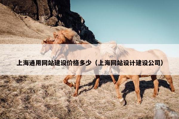 上海通用网站建设价格多少（上海网站设计建设公司）