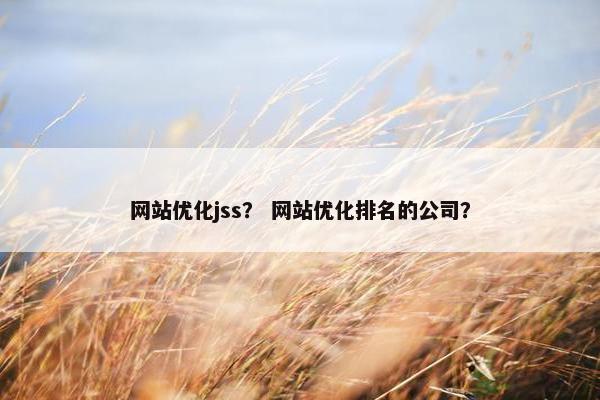 网站优化jss？ 网站优化排名的公司？