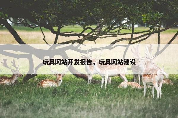 玩具网站开发报告，玩具网站建设