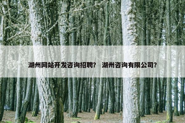 湖州网站开发咨询招聘？ 湖州咨询有限公司？