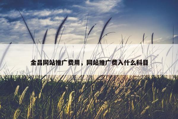 金昌网站推广费用，网站推广费入什么科目