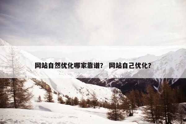 网站自然优化哪家靠谱？ 网站自己优化？