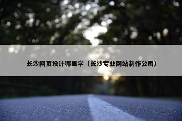 长沙网页设计哪里学（长沙专业网站制作公司）
