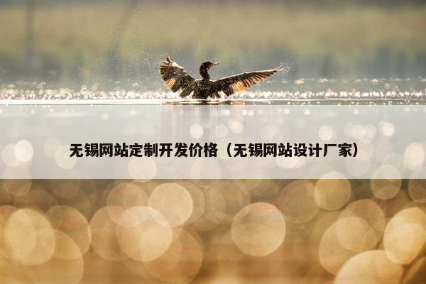 无锡网站定制开发价格（无锡网站设计厂家）