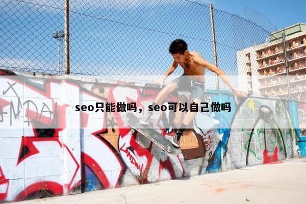 seo只能做吗，seo可以自己做吗