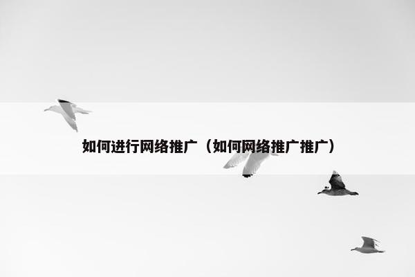 如何进行网络推广（如何网络推广推广）