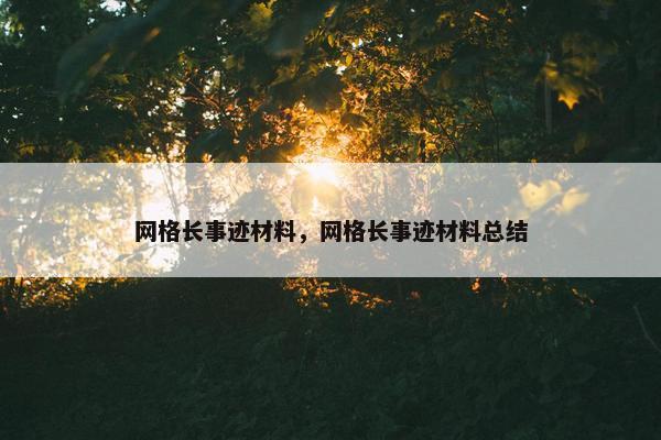 网格长事迹材料，网格长事迹材料总结