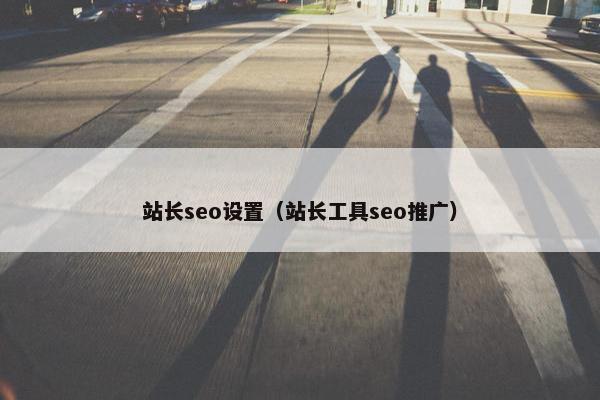 站长seo设置（站长工具seo推广）