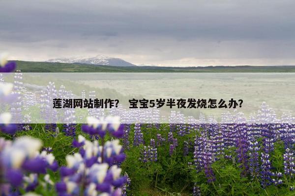 莲湖网站制作？ 宝宝5岁半夜发烧怎么办？