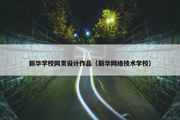 新华学校网页设计作品（新华网络技术学校）