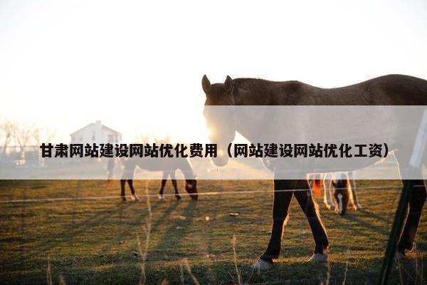 甘肃网站建设网站优化费用（网站建设网站优化工资）