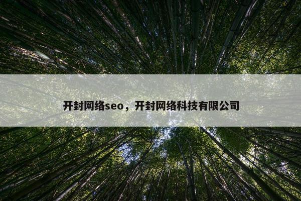 开封网络seo，开封网络科技有限公司