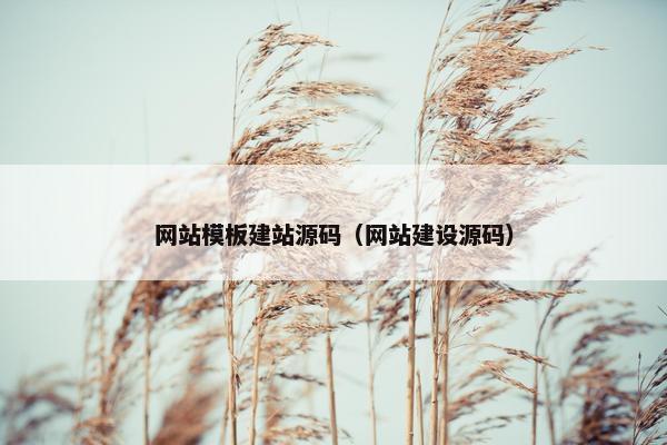 网站模板建站源码（网站建设源码）