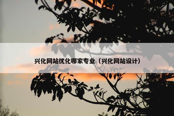 兴化网站优化哪家专业（兴化网站设计）