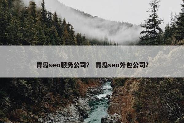 青岛seo服务公司？ 青岛seo外包公司？