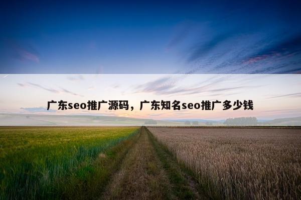 广东seo推广源码，广东知名seo推广多少钱