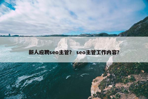 新人应聘seo主管？ seo主管工作内容？