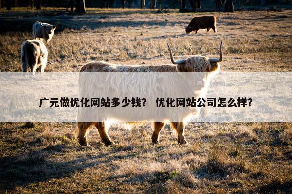 广元做优化网站多少钱？ 优化网站公司怎么样？