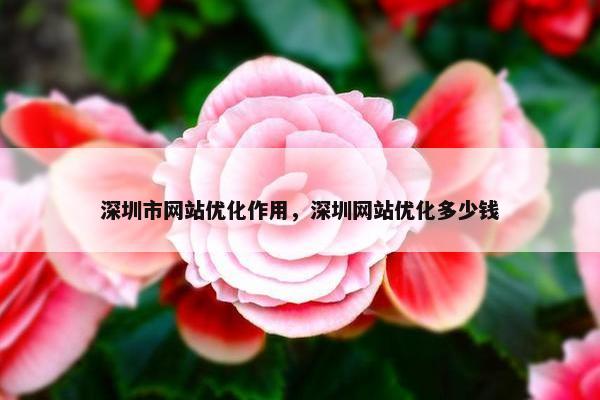 深圳市网站优化作用，深圳网站优化多少钱