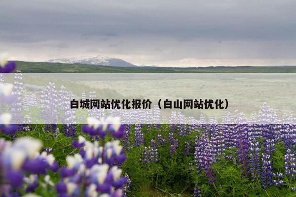 白城网站优化报价（白山网站优化）