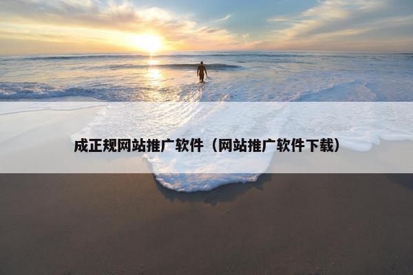 成正规网站推广软件（网站推广软件下载）