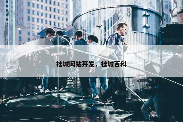 桂城网站开发，桂城百科
