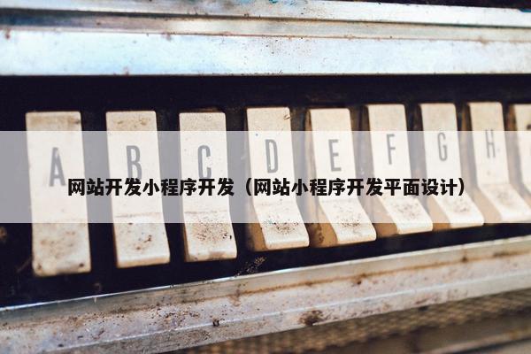网站开发小程序开发（网站小程序开发平面设计）