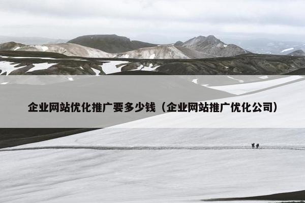 企业网站优化推广要多少钱（企业网站推广优化公司）
