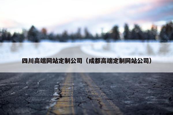 四川高端网站定制公司（成都高端定制网站公司）