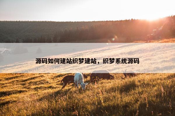 源码如何建站织梦建站，织梦系统源码